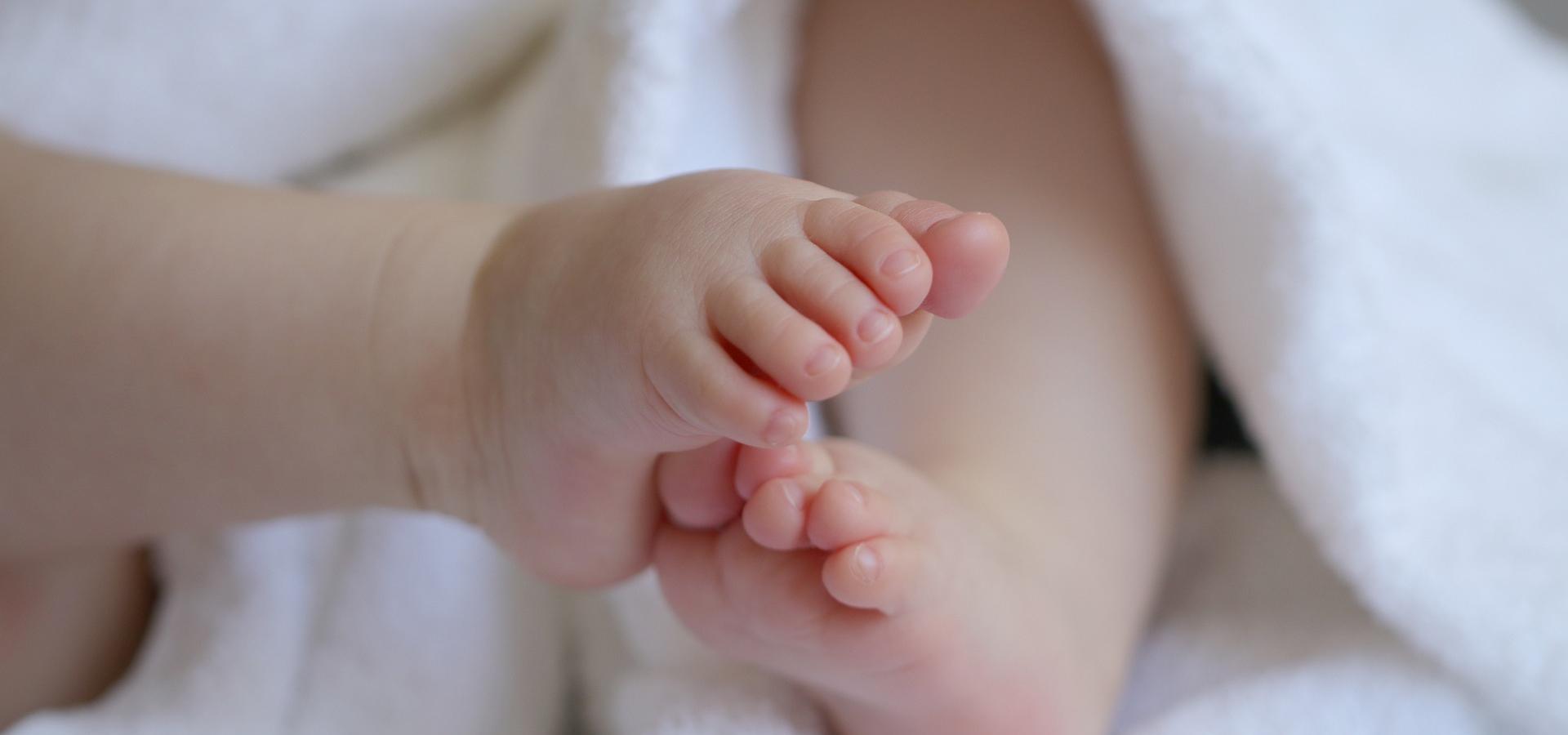 Sanctity of Life